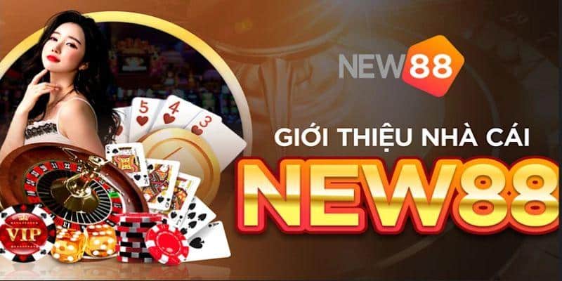 Trải nghiệm cá cược tuyệt vời tại New88